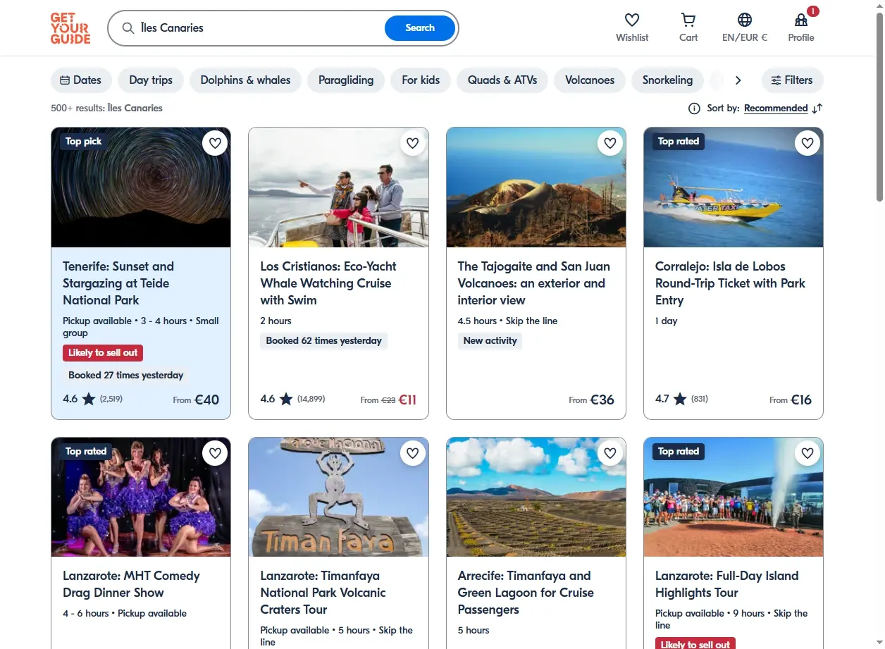 Capture d'écran des activités touristiques aux Îles Canaries